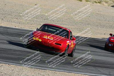 media/Feb-18-2024-Nasa AZ (Sun) [[891db5b212]]/7-Race Group A/Session 1 Turn 12 Exit-Bowl Entry/